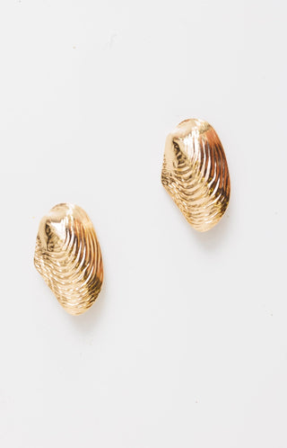 Big Shell Stud Earrings, GOLD - HerringStones